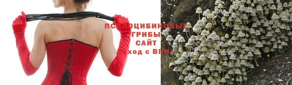 гидра Абинск