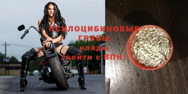 гидра Абинск