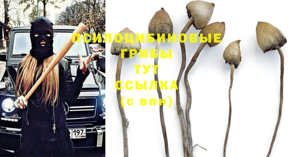 гидра Абинск