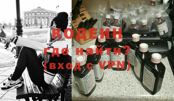 дживик Абаза