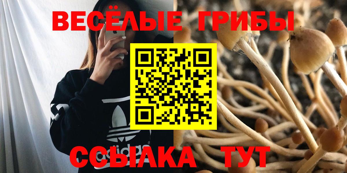 Псилоцибиновые грибы GOLDEN TEACHER  Вход с VPN  Людиново 
